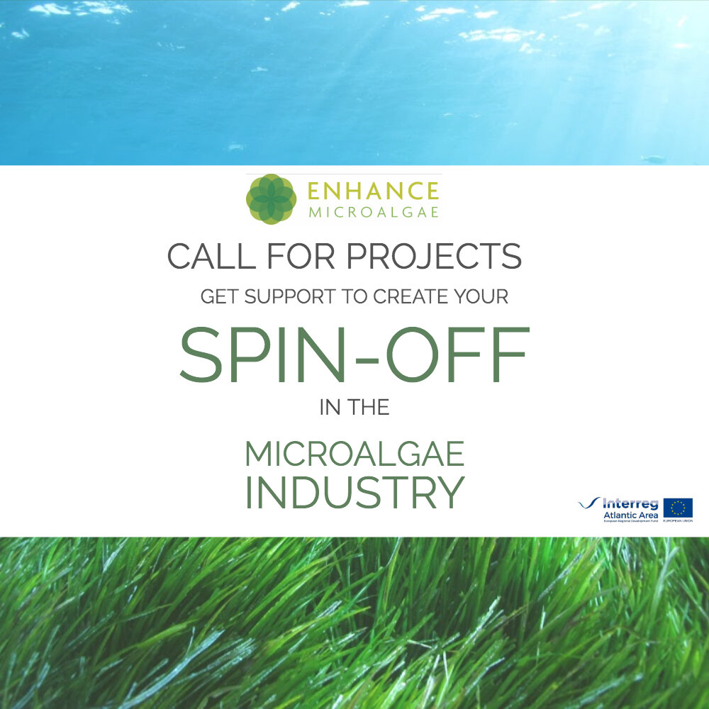 Call for projects Enhance Microalgae