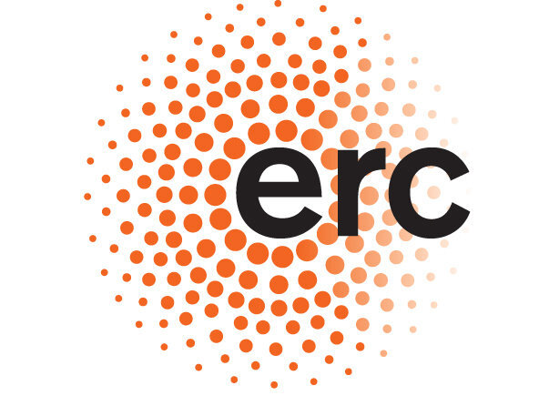 ERC grants a 2.75M€ funding for the development of a transformable metasurface at INL