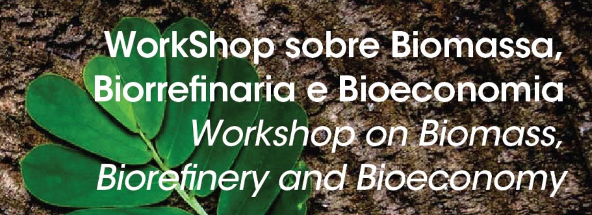 INL co-organizes a workshop on Biomass, Biorefinery, and Bioeconomy