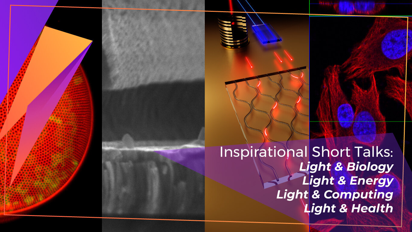 International Day of Light celebrated by INL with a webinar