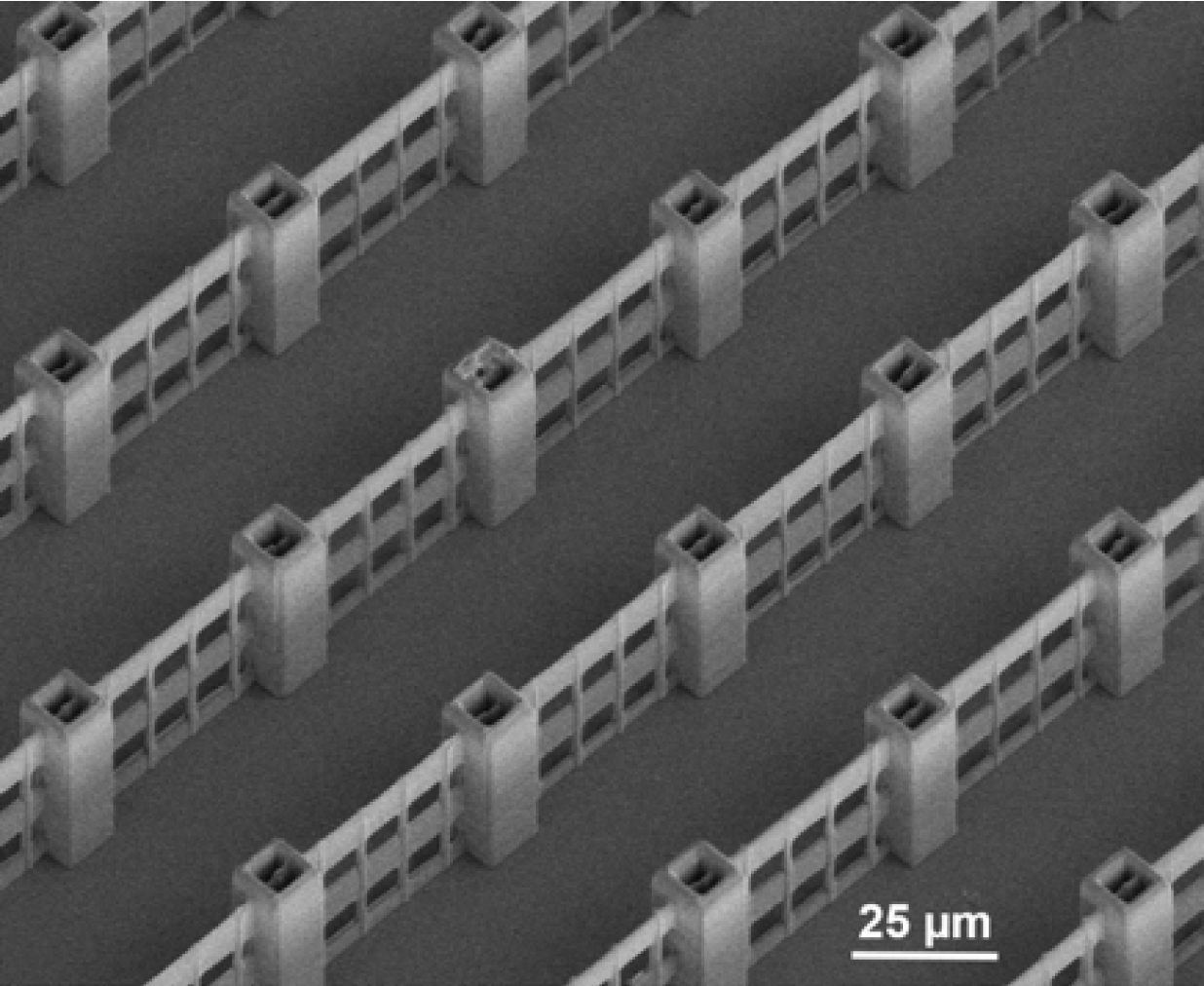 Speeding up 3D microfabrication for bio-applications