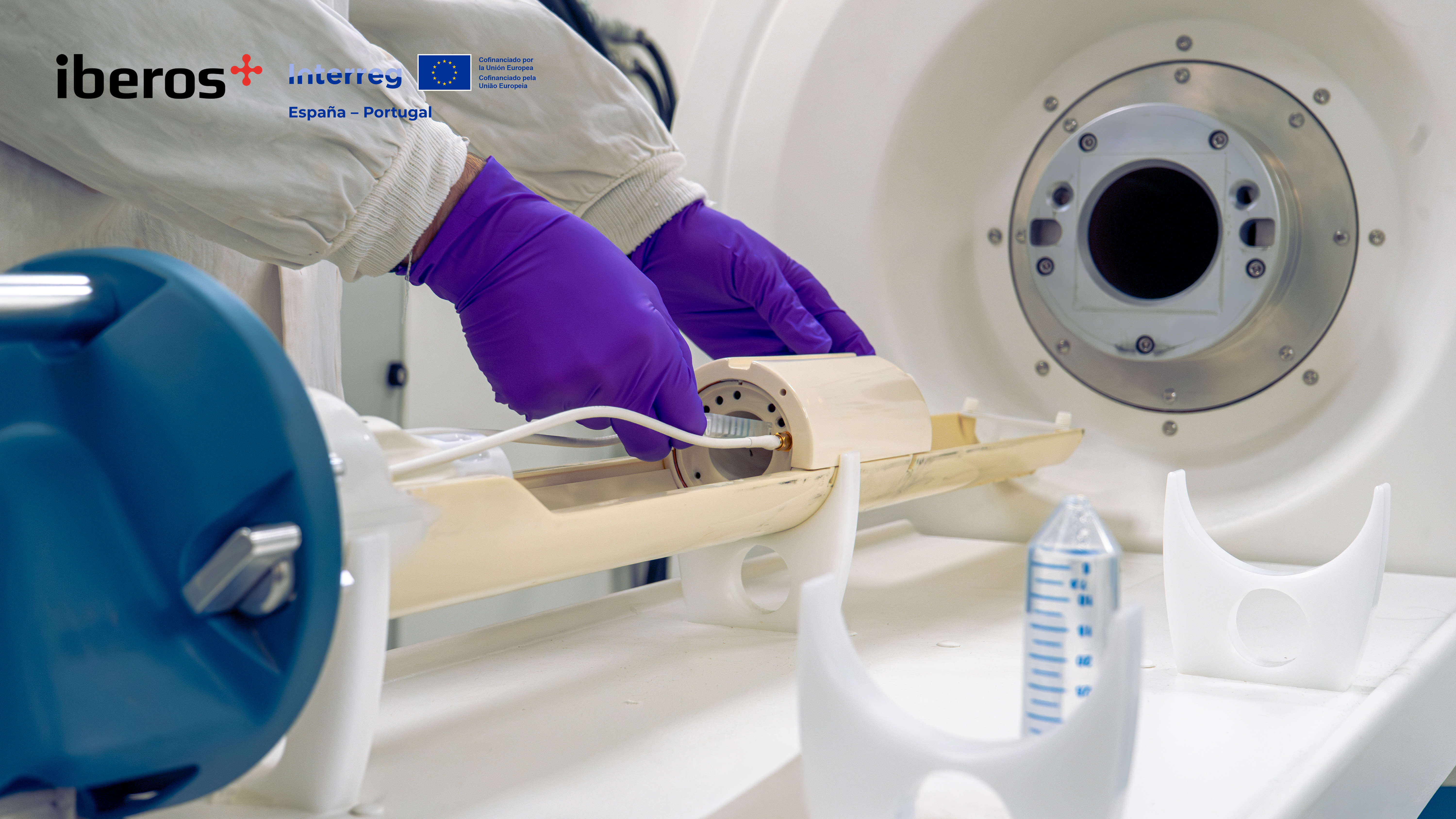 How magnetic interactions shape MRI contrast