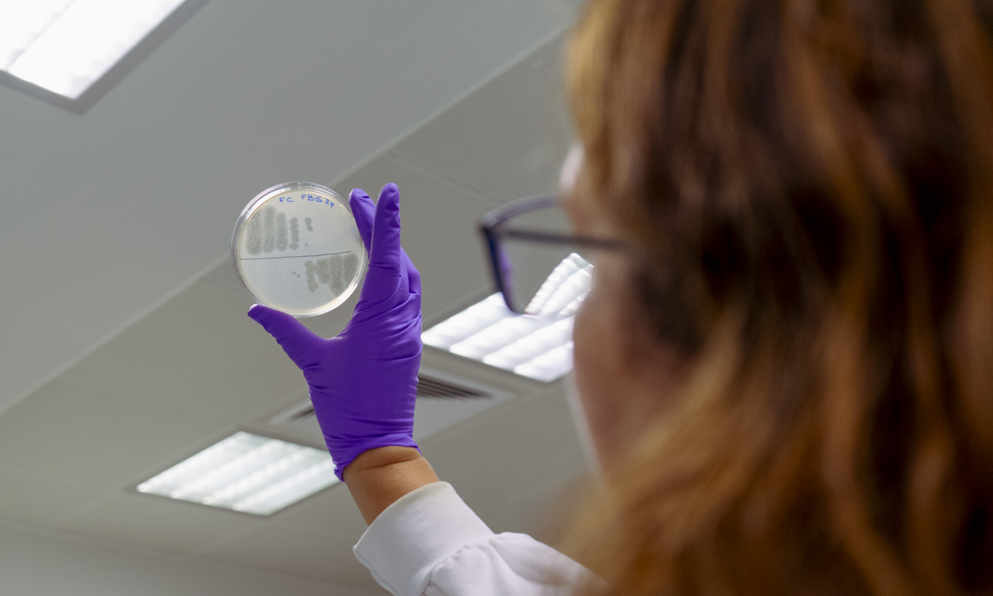 A new ally against food contamination, developed by INL researchers