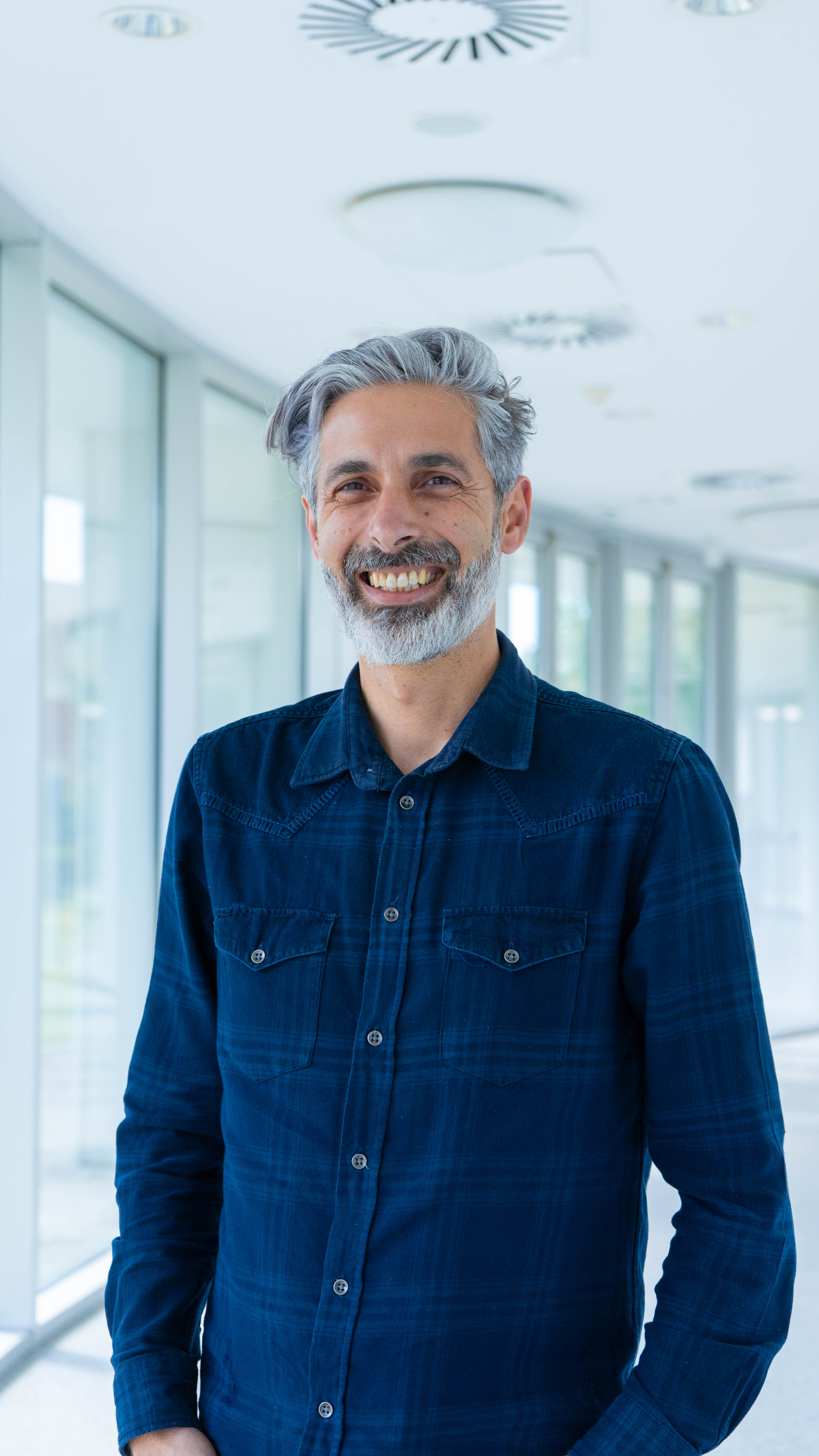 Rui Domingues
